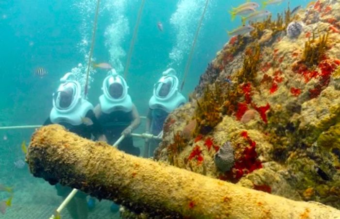 a group participating in a helmet diving excursion