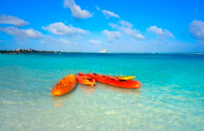 Three orange kayaks with paddles resting off the coast of Costa Maya.