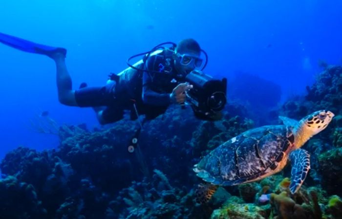 a scuba diver capturing a photo of a turtle