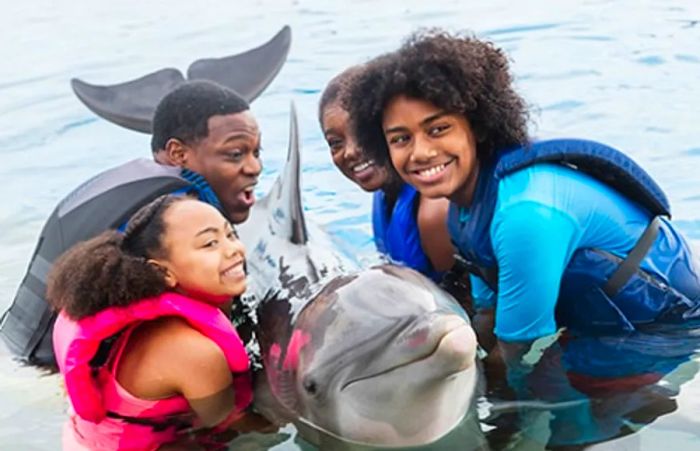 A family of four joyfully holding a dolphin in La Romana.