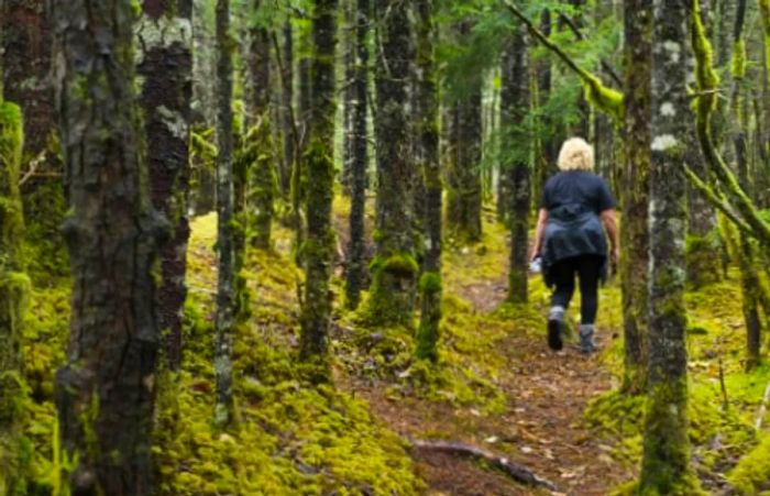 a woman hiking through the Tongass Rainforest in Alaska