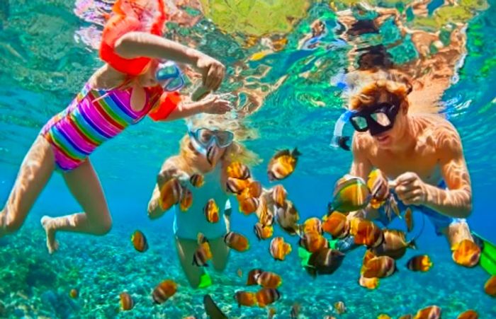 two teenagers and a young girl snorkeling among colorful fish at a Bahamian beach