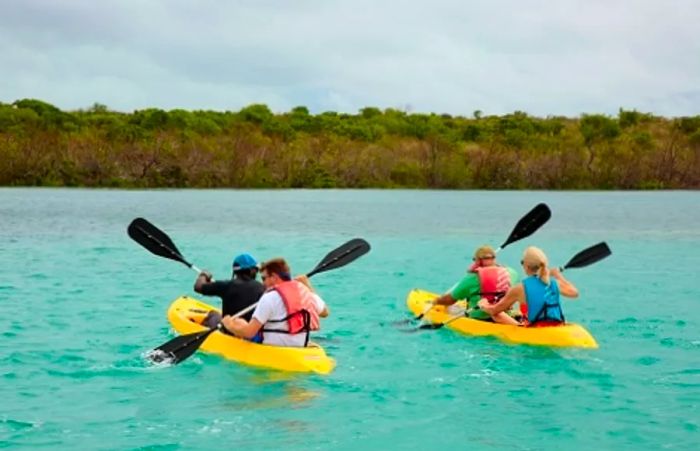 four friends kayaking in grand turk 