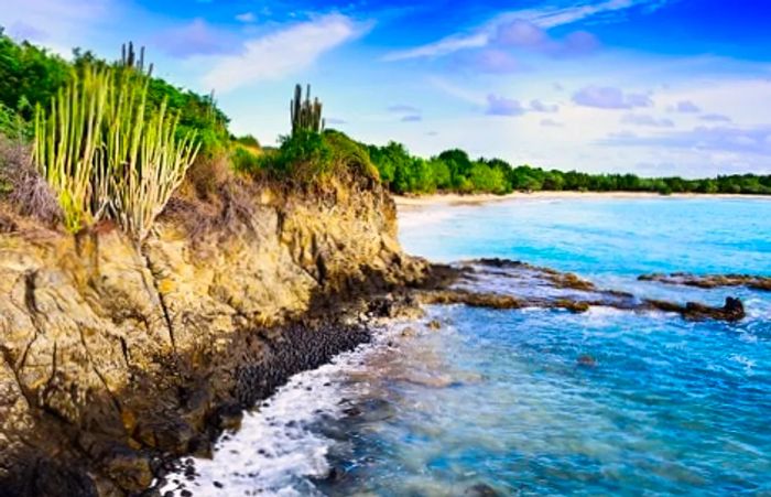 the dramatic cliffs and beach of Martinique