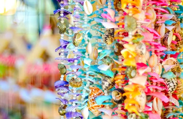 colorful seashell necklaces