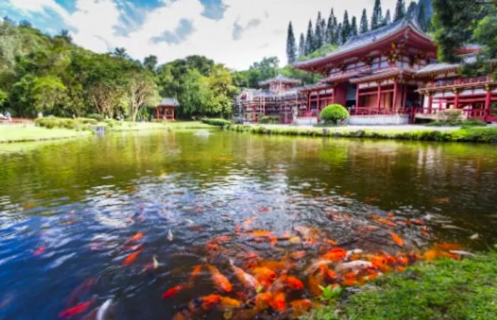 Byodo-In Temple in Hawaii surrounded by a pond filled with vibrant orange koi fish