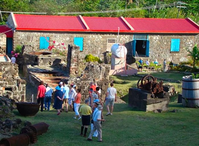 a visitor exploring the Carlton Cocoa Station in Grenada