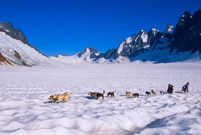 a group of four individuals enjoying a dogsledding tour through the snowy landscapes of Alaska