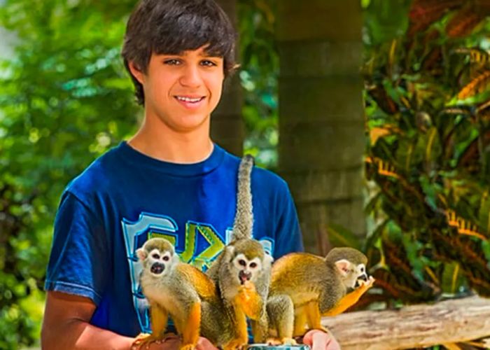 a boy taking a picture with three squirrel monkeys as they snack from his hand