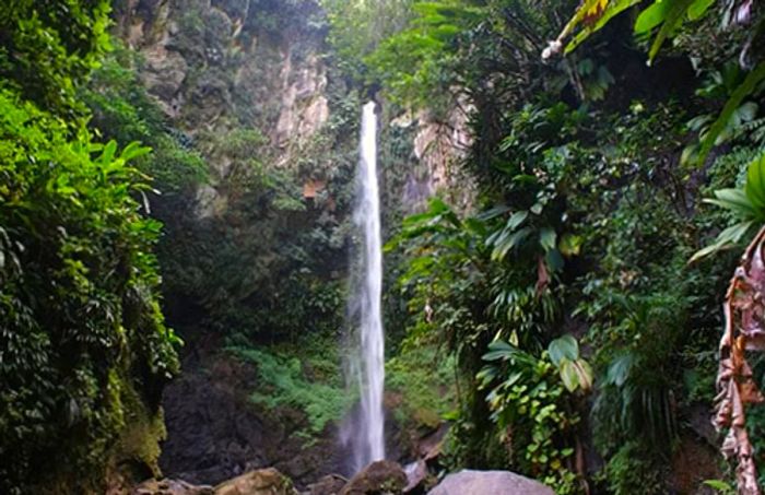 Sari Sari Falls, located in Trois Pitons National Park, Dominica