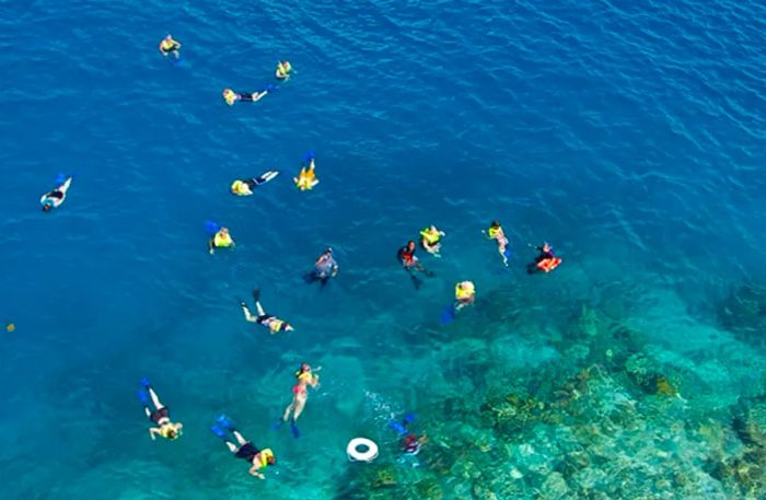 a group of individuals snorkeling among the vibrant barrier reef in Belize