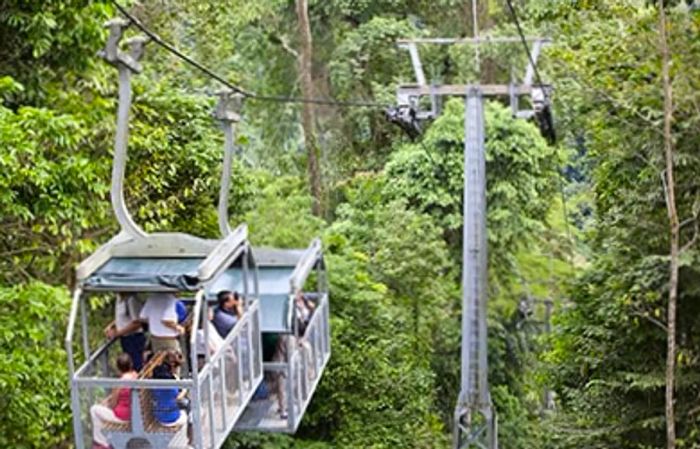 Visitors riding the aerial tram and capturing photos of the Veragua rainforest