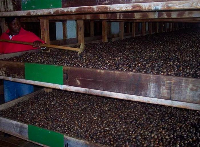 Man preparing spices at Dougaldston Spice Estate