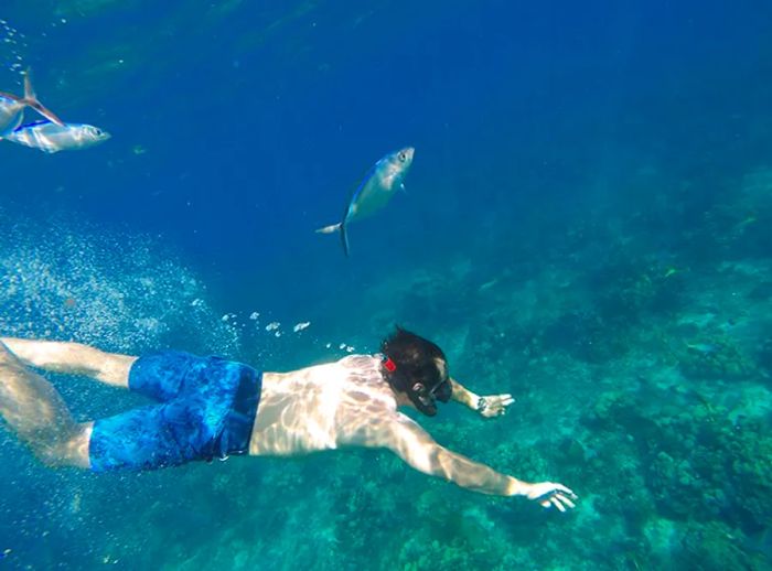 A man snorkeling in Champagne Reef, part of Dominica’s marine reserve