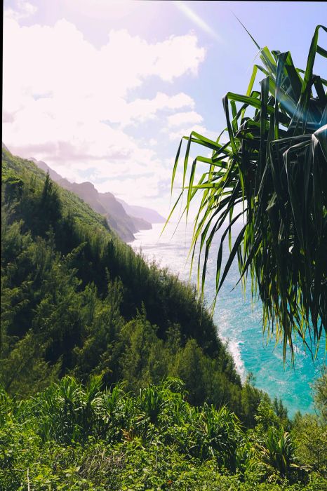 mountaintop vista overlooking the ocean