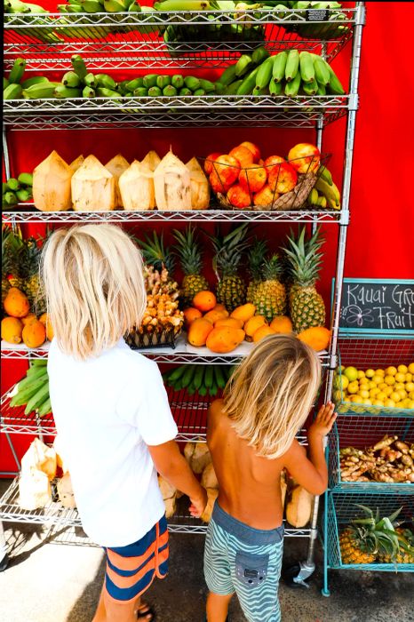 children examining fruit at a fruit stand