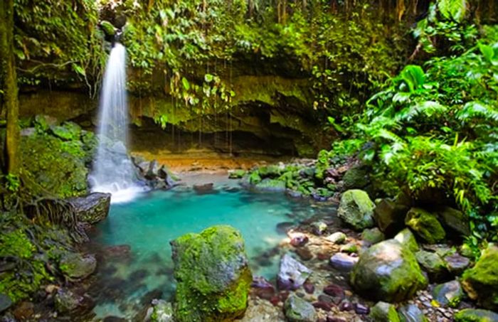 The Emerald Pool situated in Trois Pitons National Park, Dominica