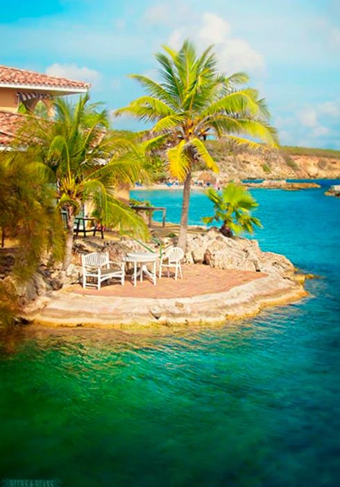 A cozy seating area nestled among water and palm trees