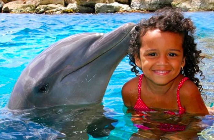 dolphin giving a gentle kiss to a young girl at the Sea Aquarium