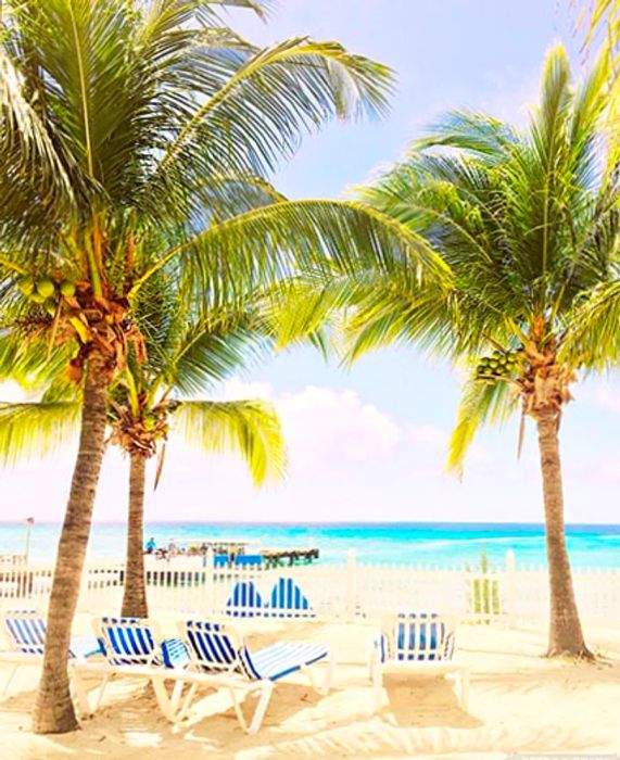 A serene beach scene with swaying palm trees in Grand Turk