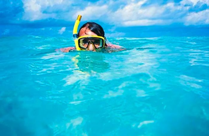 man snorkeling in Bermuda