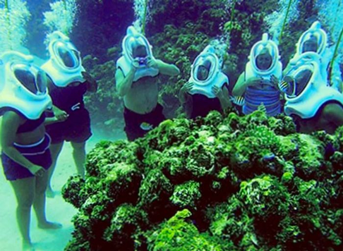 individuals in sea trek helmets observing a coral reef in Grand Cayman