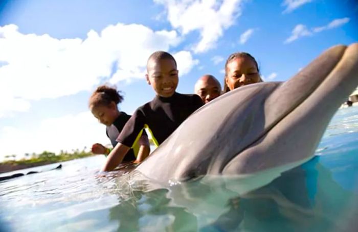 group of children swimming with a dolphin