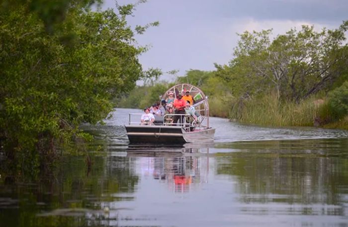 a tourist enjoying an airboat ride across Almond Hill Lagoon