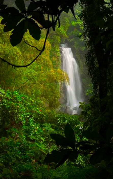 Trafalgar Falls in Dominica