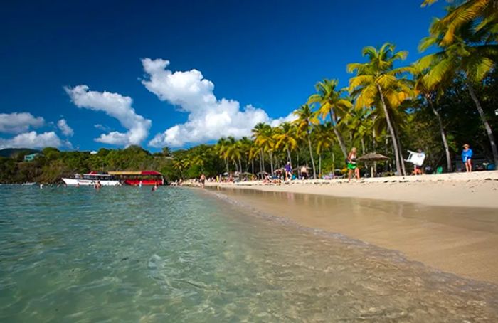 people relishing the stunning scenery at Magen’s Bay beach in St. Thomas