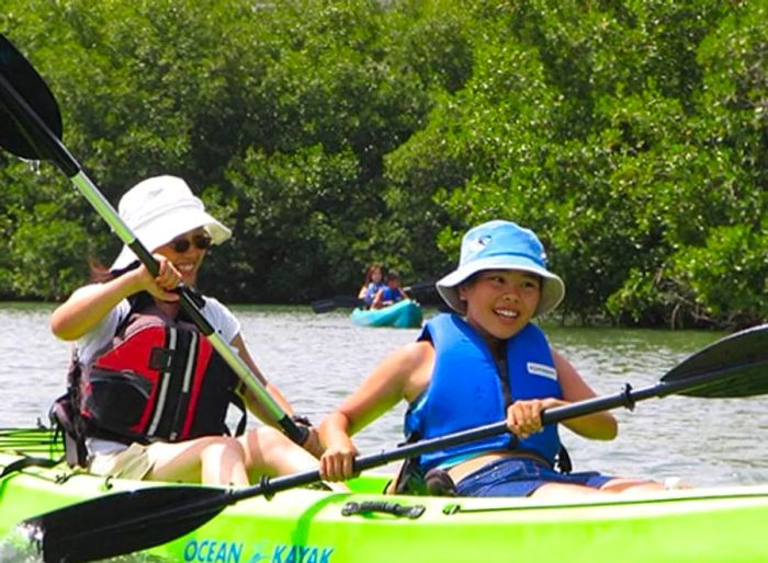 a mother and son kayaking in the mangrove wildlife refuge and marine sanctuary of St. Thomas