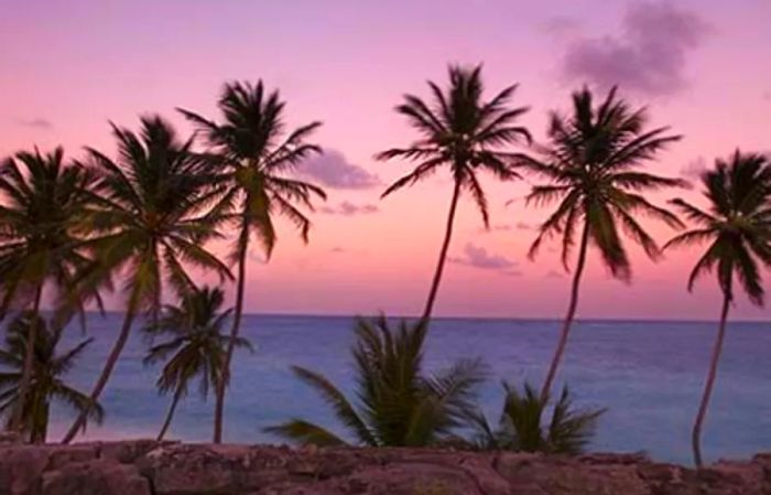 Sunset over Bottom Bay, Barbados