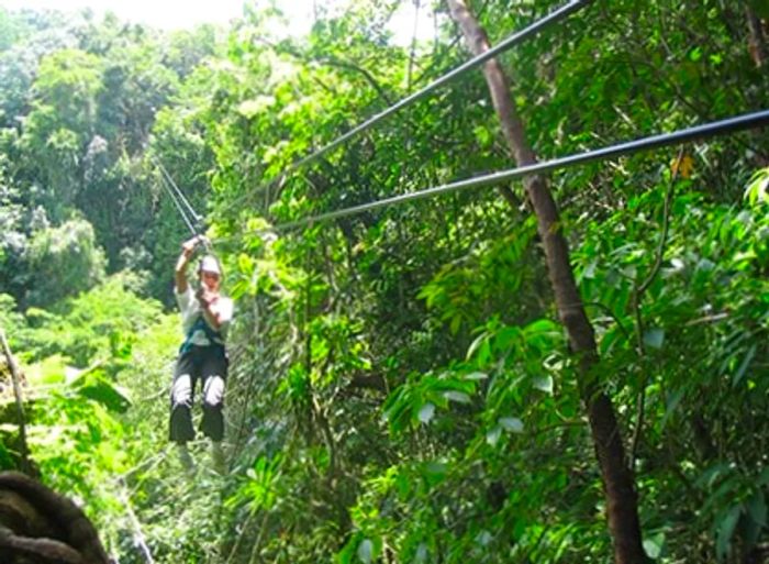 a man zip lining through the lush Veragua rainforest