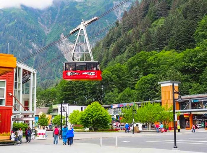 Mendenhall Glacier Excursion And Downtown Juneau