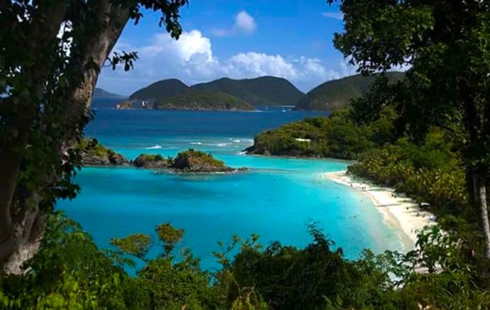 a stunning view of Trunk Bay