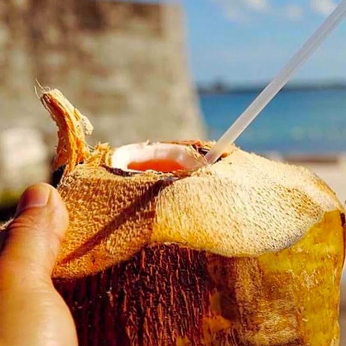 refreshing coconut beverage