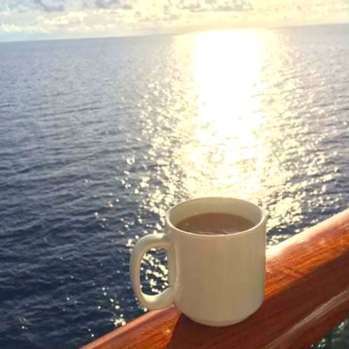 a cup of coffee overlooking the sea from a Dinogo cruise ship