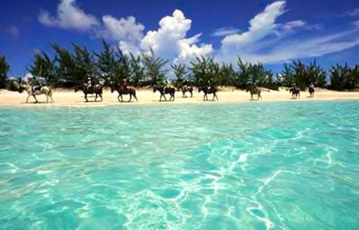 Horseback Riding on a Private Beach in Half Moon Cay