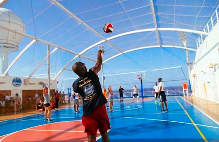 a team of individuals enjoying a game of volleyball at the sports court