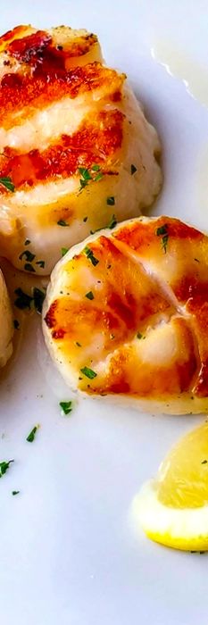 broiled sea scallops served with truffled risotto and citrus gremolata