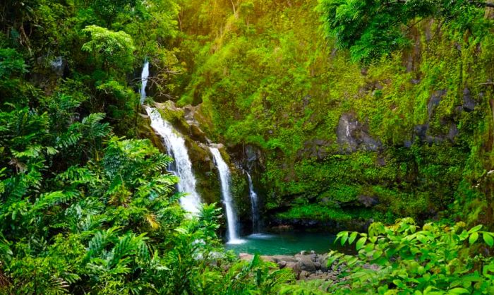 Scenic view of the Upper Waikani Falls