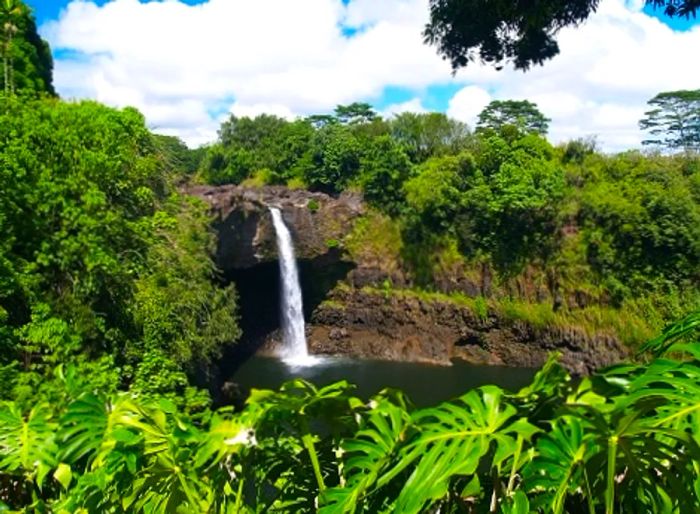 a small waterfall nestled in a Hawaiian forest