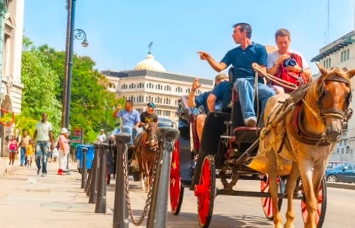 tourists exploring a Caribbean city via horse and buggy with the assistance of a tour guide