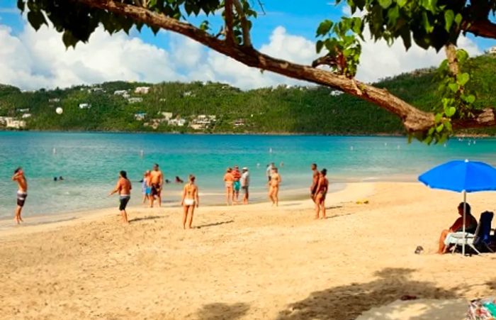 A group of friends gathered around a beach in the Caribbean