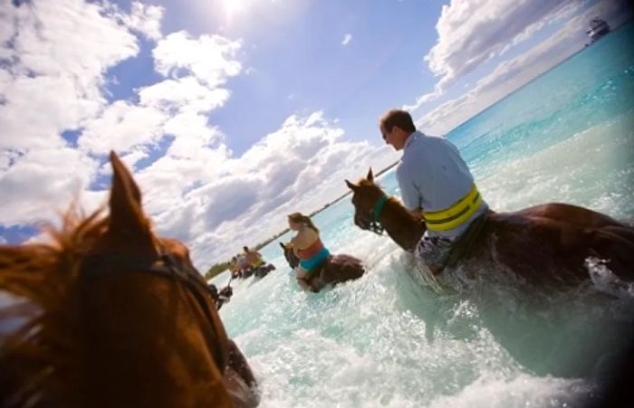 a group of guests riding horses along the beach