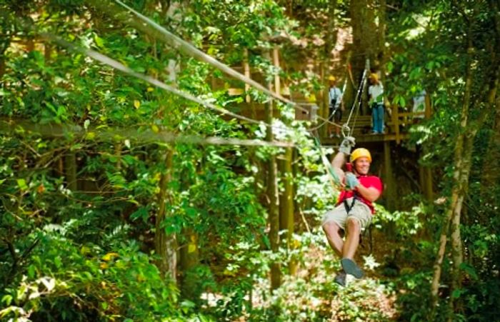 a man zip-lining through the lush Caribbean forest