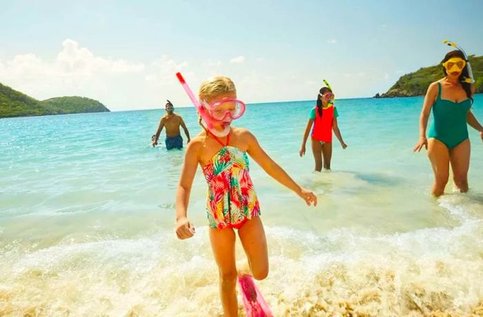 a family emerging from the water after a snorkeling adventure at the beach