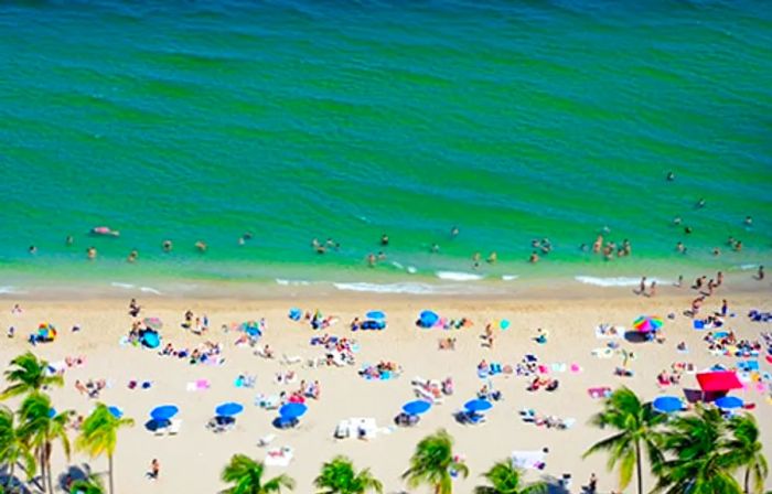 beach at fort lauderdale, florida