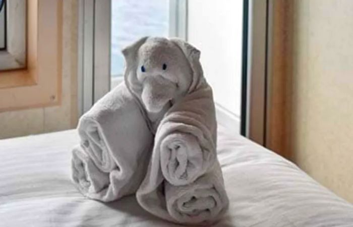 Towel Creatures on Dinogo