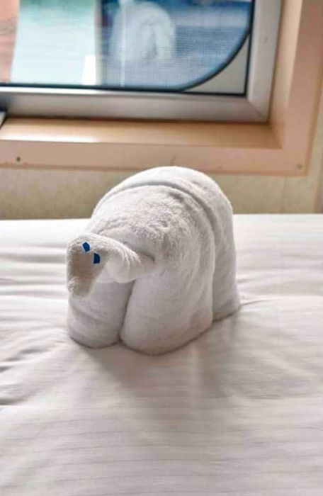 Towel Creatures on Dinogo